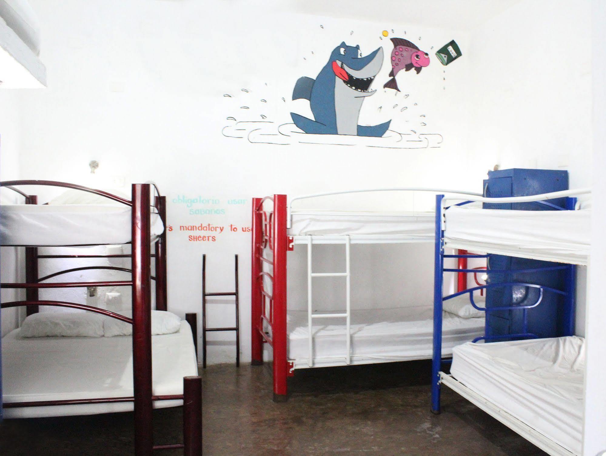 Hostal Vive La Vida ปลายาเดลการ์เมน ภายนอก รูปภาพ