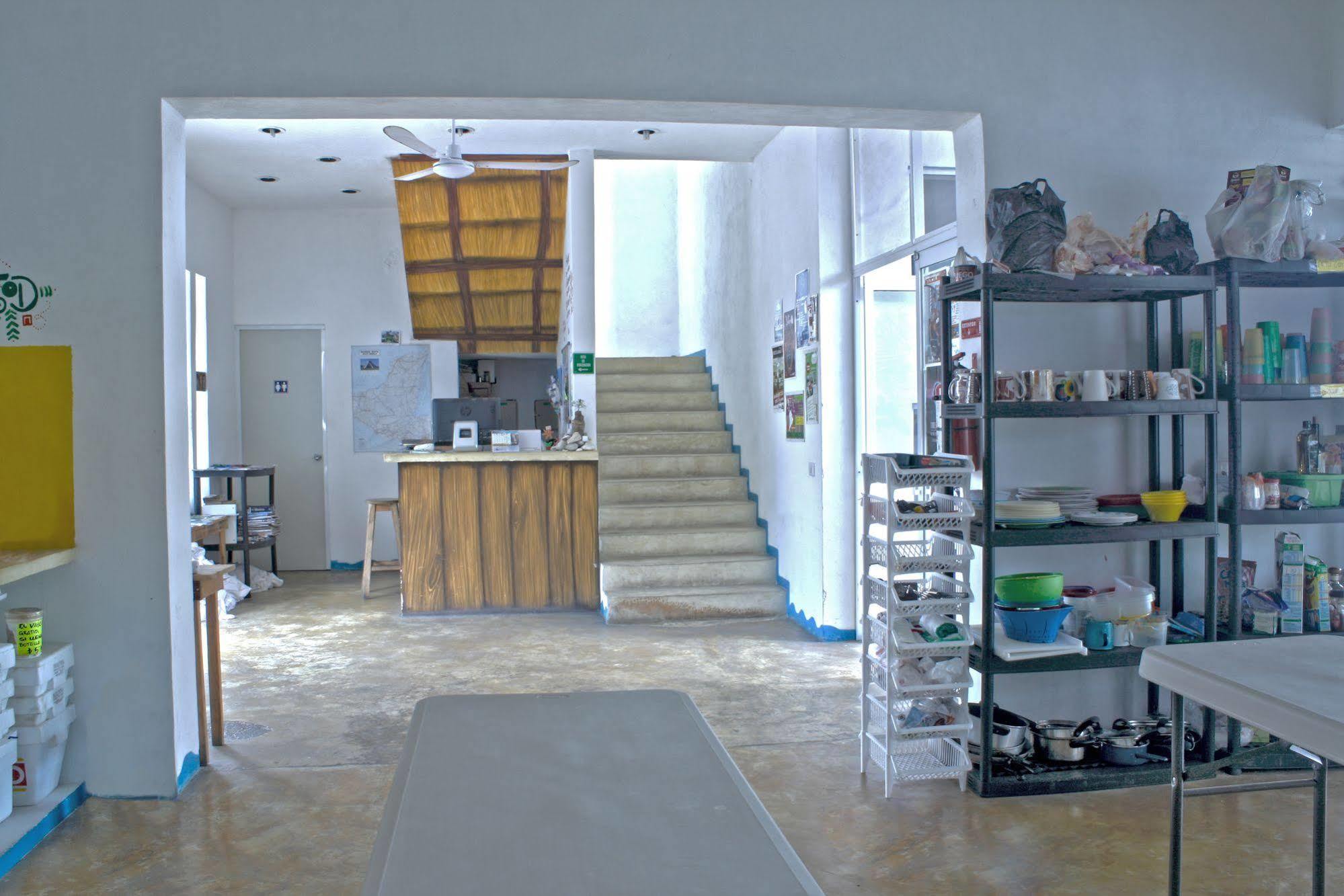 Hostal Vive La Vida ปลายาเดลการ์เมน ภายนอก รูปภาพ