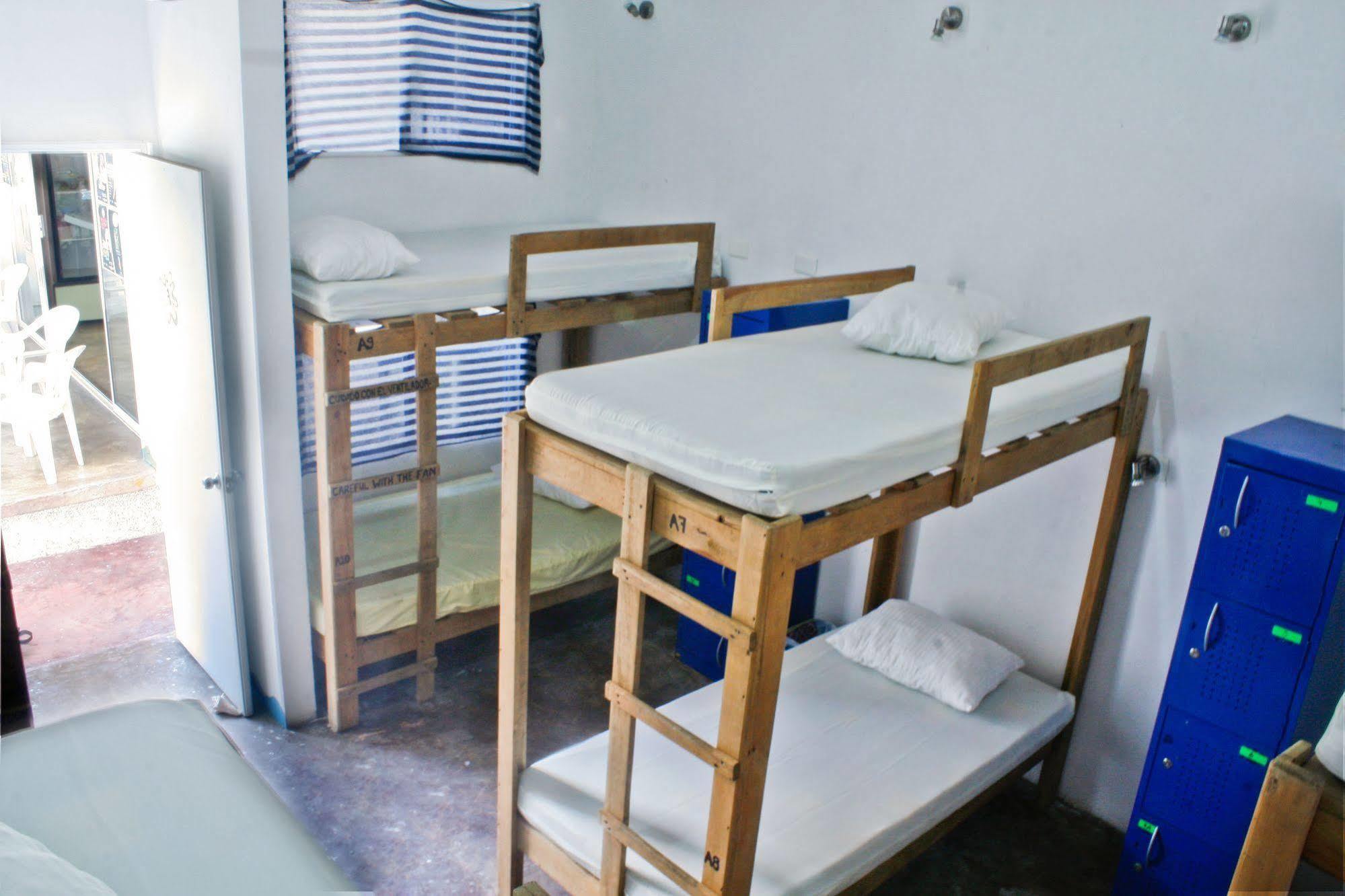 Hostal Vive La Vida ปลายาเดลการ์เมน ภายนอก รูปภาพ